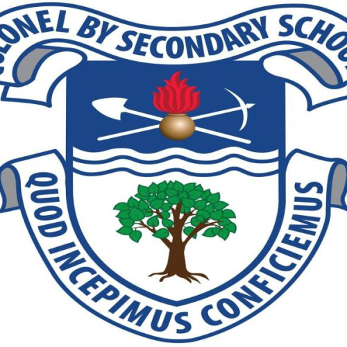 Colonel by Secondary School