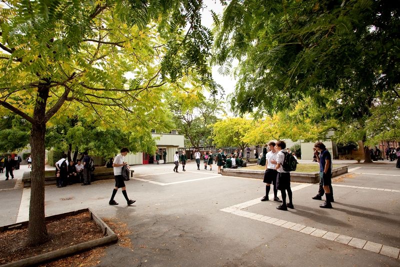 Rangioara High School