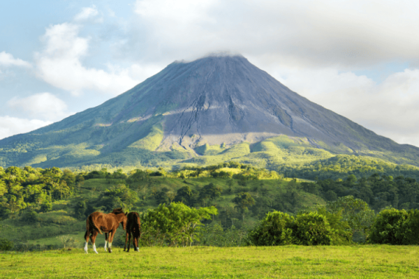 Alajuela 2