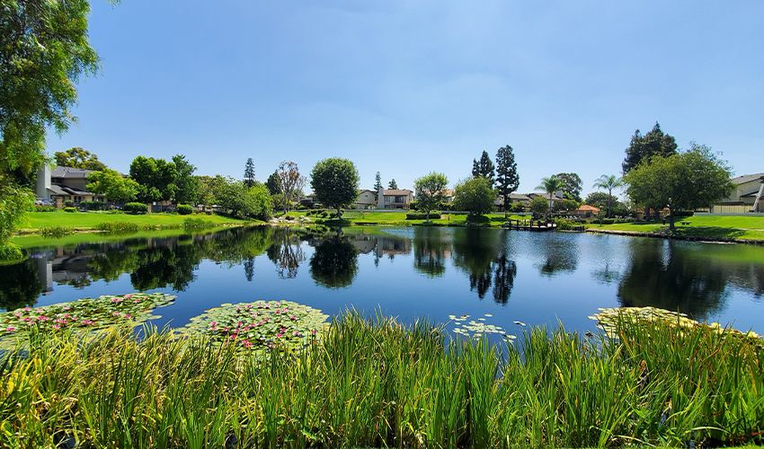 Anaheim 1