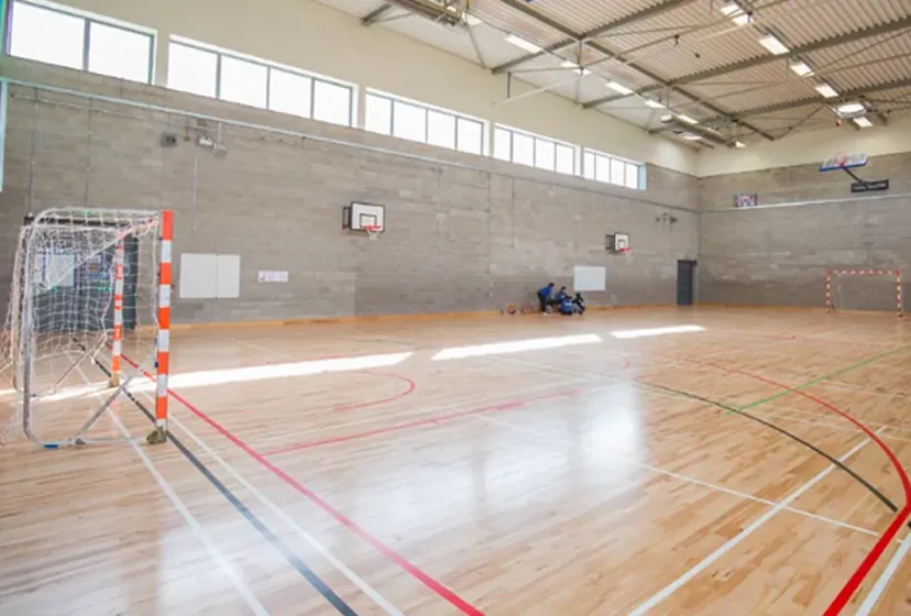 Ballinteer Community School Sporthalle