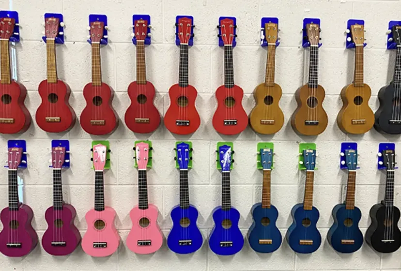 Ballinteer Community School Ukulele