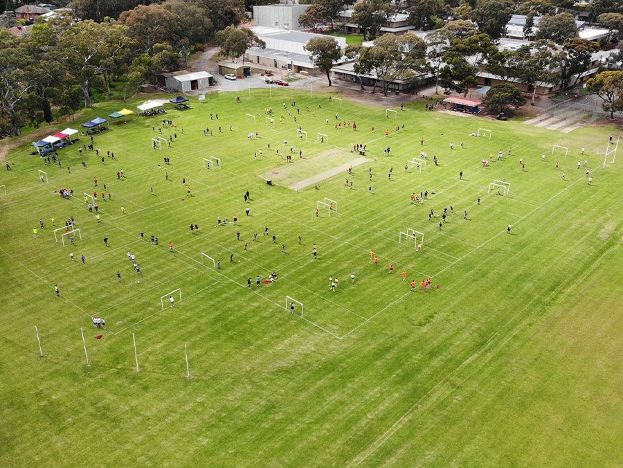 Banksia Park International High School