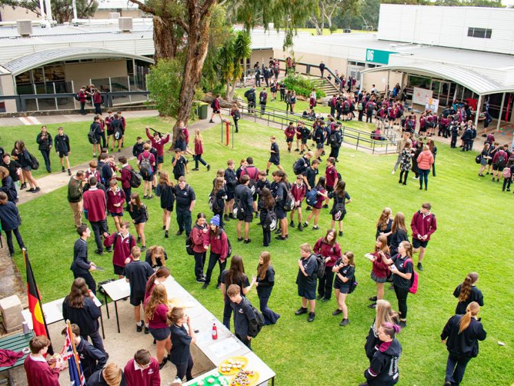 Banksia Park International School 4