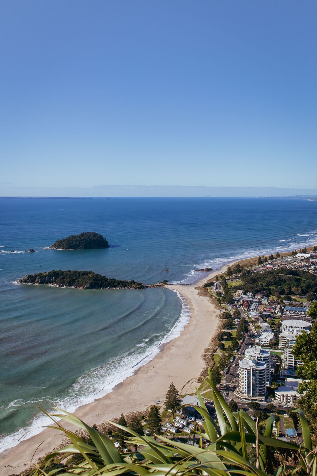 Bay of Plenty 1