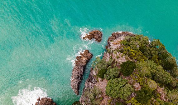 Bay of Plenty 3