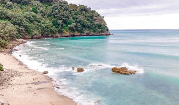 Bay of Plenty 4