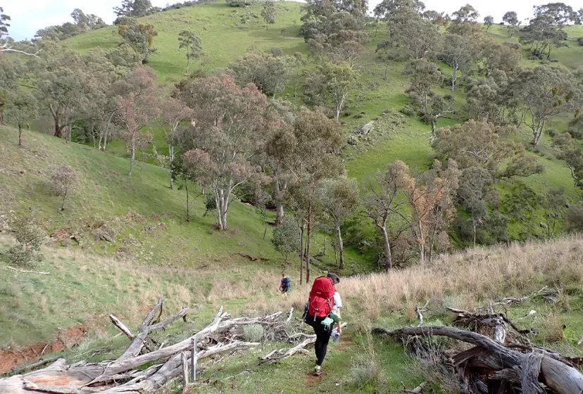 Blackwood High School Wandern