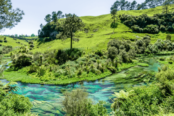 Cambridge New Zealand v2