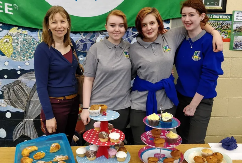 Castleisland Community College Verkauf