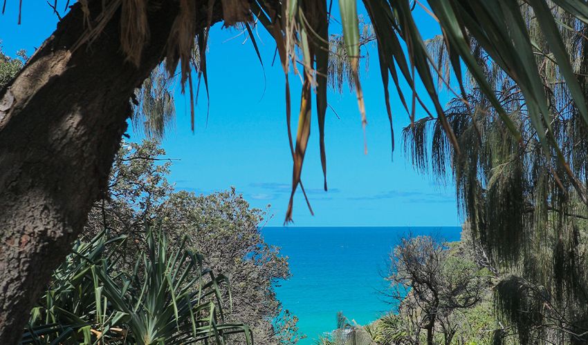 Central Queensland 4