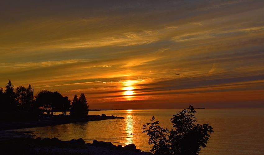 Collingwood 3