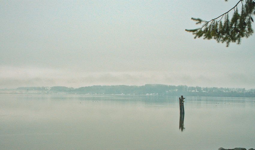 Comox 2