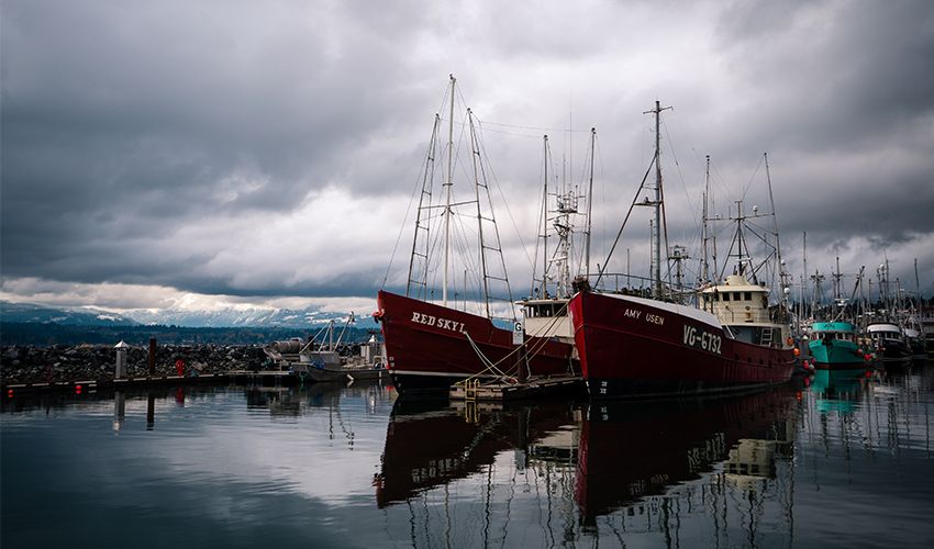Comox 3