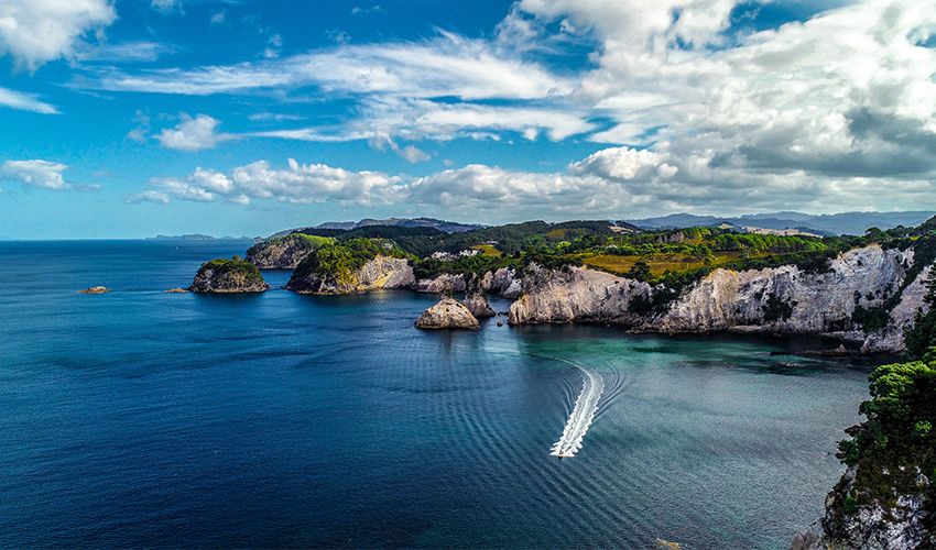 Coromandel 2