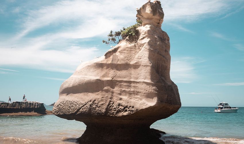 Coromandel 4
