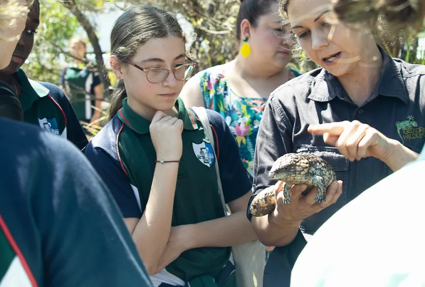Craigslea SHS Wildlife