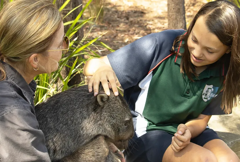 Craigslea SHS Wombat