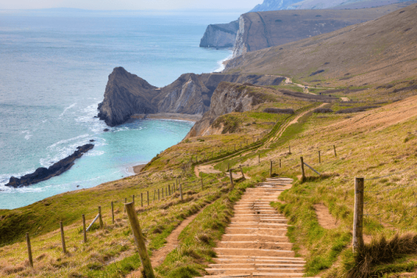 Dorset 2