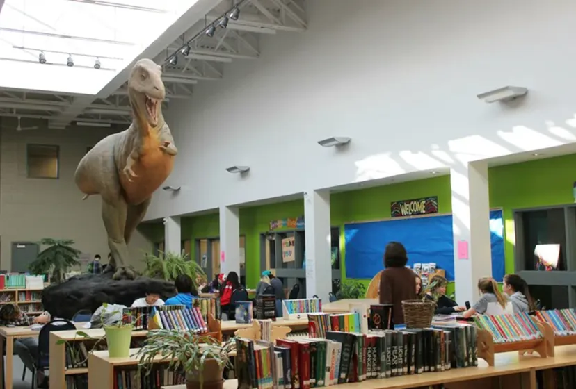 Drumheller Valley Secondary School Library