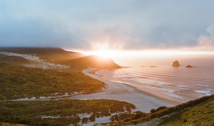 Dunedin 2