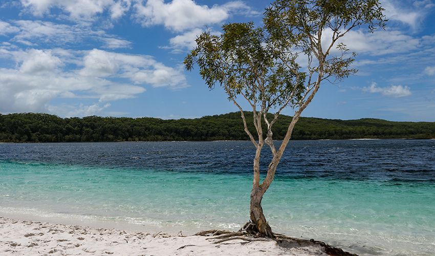 Fraser Coast 2