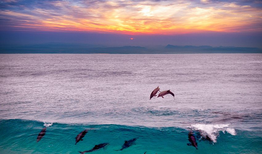 Fraser Coast 4