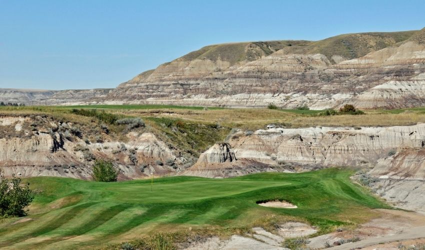 Golden Hills 8