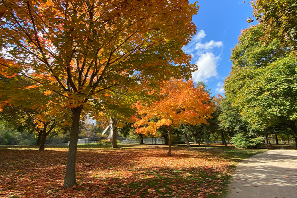 Guelph 3