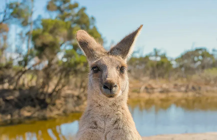 High School Australien Vorteile Quer 1