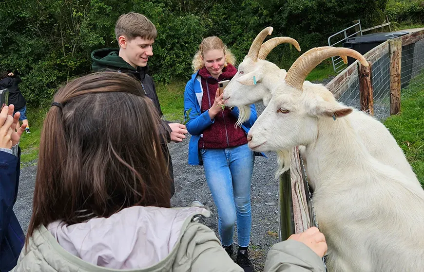 High School Irland Vorteile Quer 2