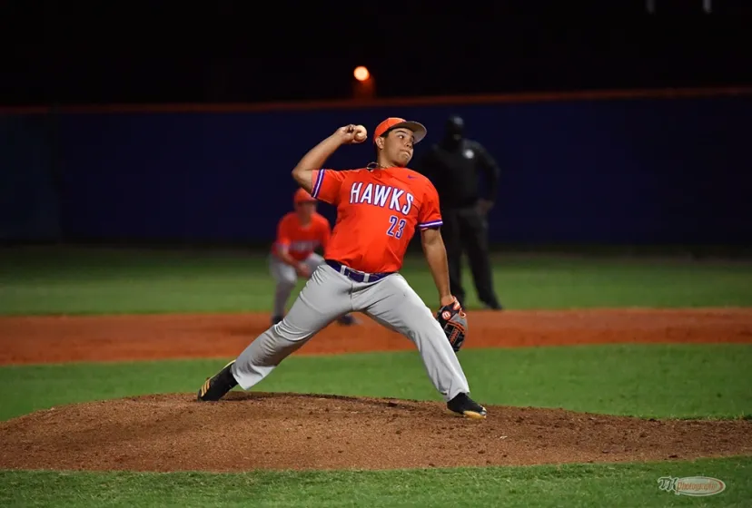 Horizon High School Baseball