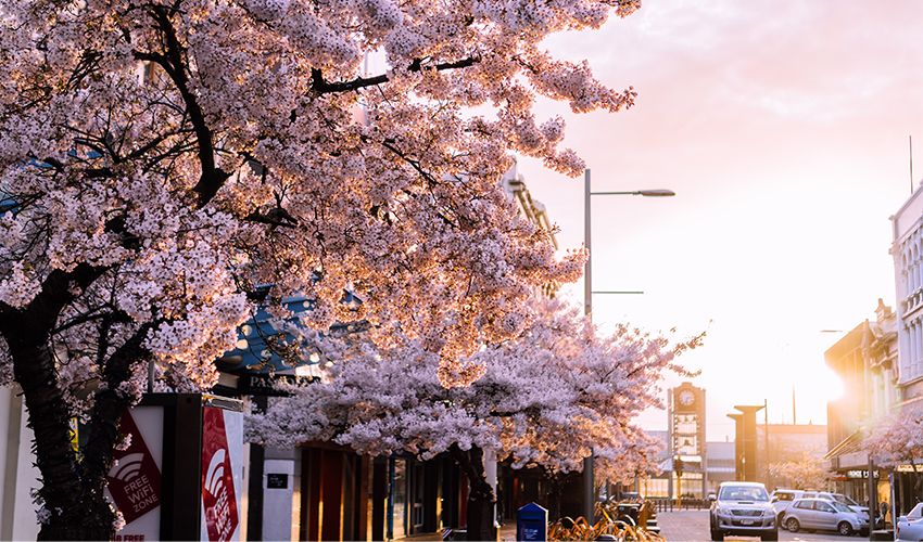 Invercargill 3