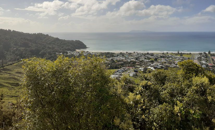 Katharina Neuseeland Waihi College 2