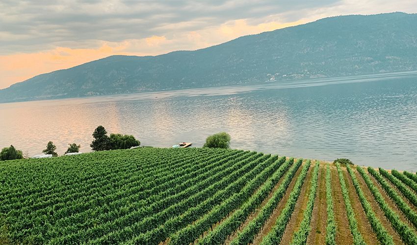 Kelowna 2