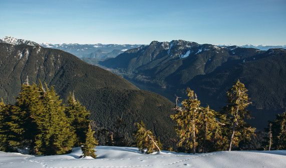 Maple Ridge 4