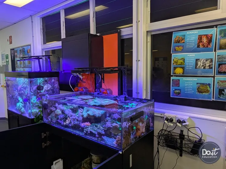 Meridan SHS Aquarium (1)