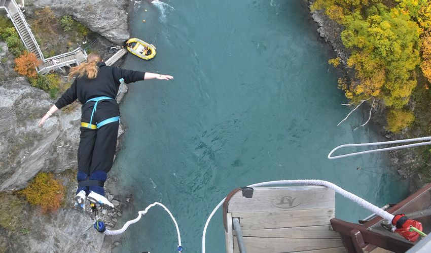 Milena Blogeintrag Bungee
