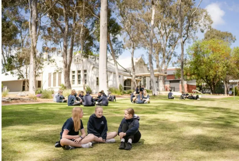 Mount Barker HS 1