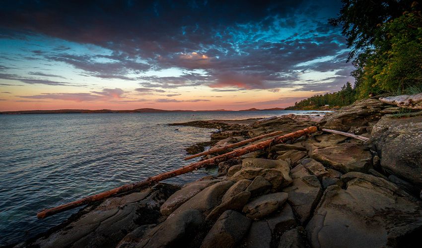 Nanaimo 1