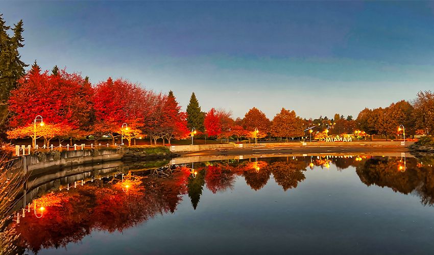 Nanaimo 3