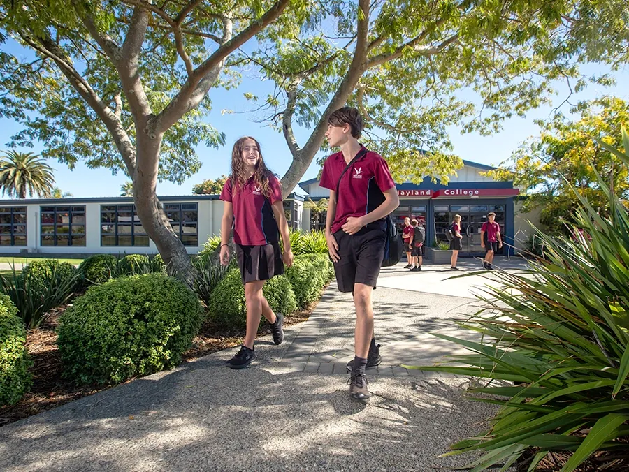 Nayland College