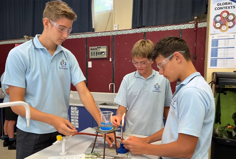 Nelson College Labor