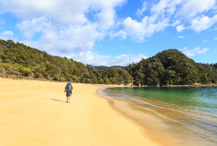 Nelson College Strand