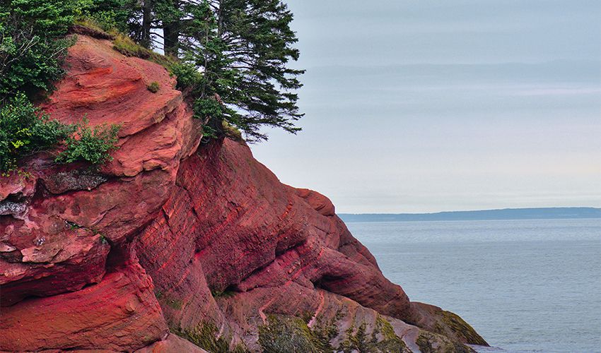 New Brunswick 4