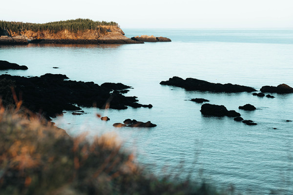 New Brunswick 5
