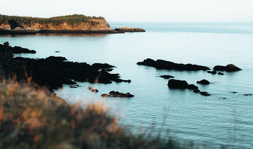 New Brunswick 5