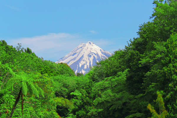New Plymouth 2