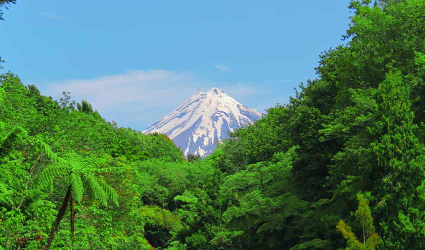 New Plymouth 2
