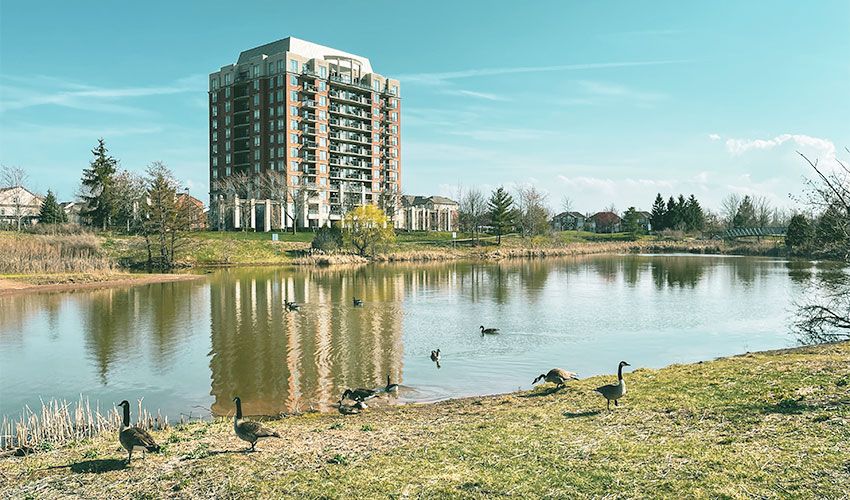 Oakville 1